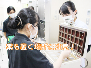 トリマー科も看護実習☆